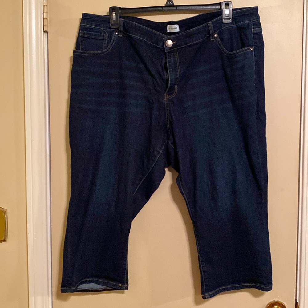Lane Bryant 24